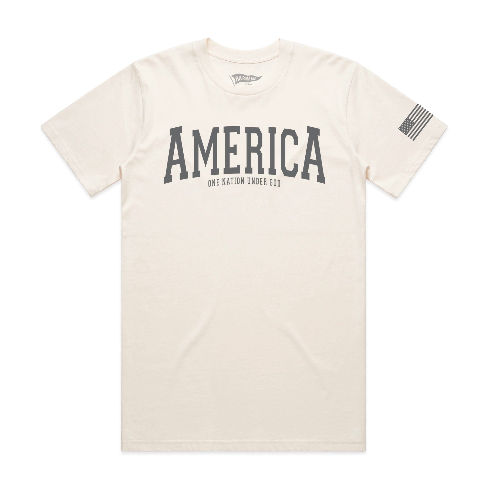 AMERICA T-Shirt [Bone]