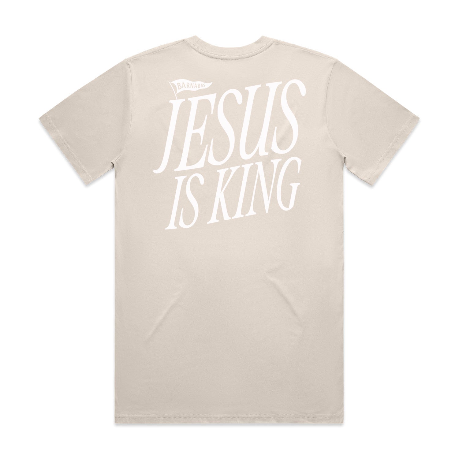 JESUS IS KING T-Shirt