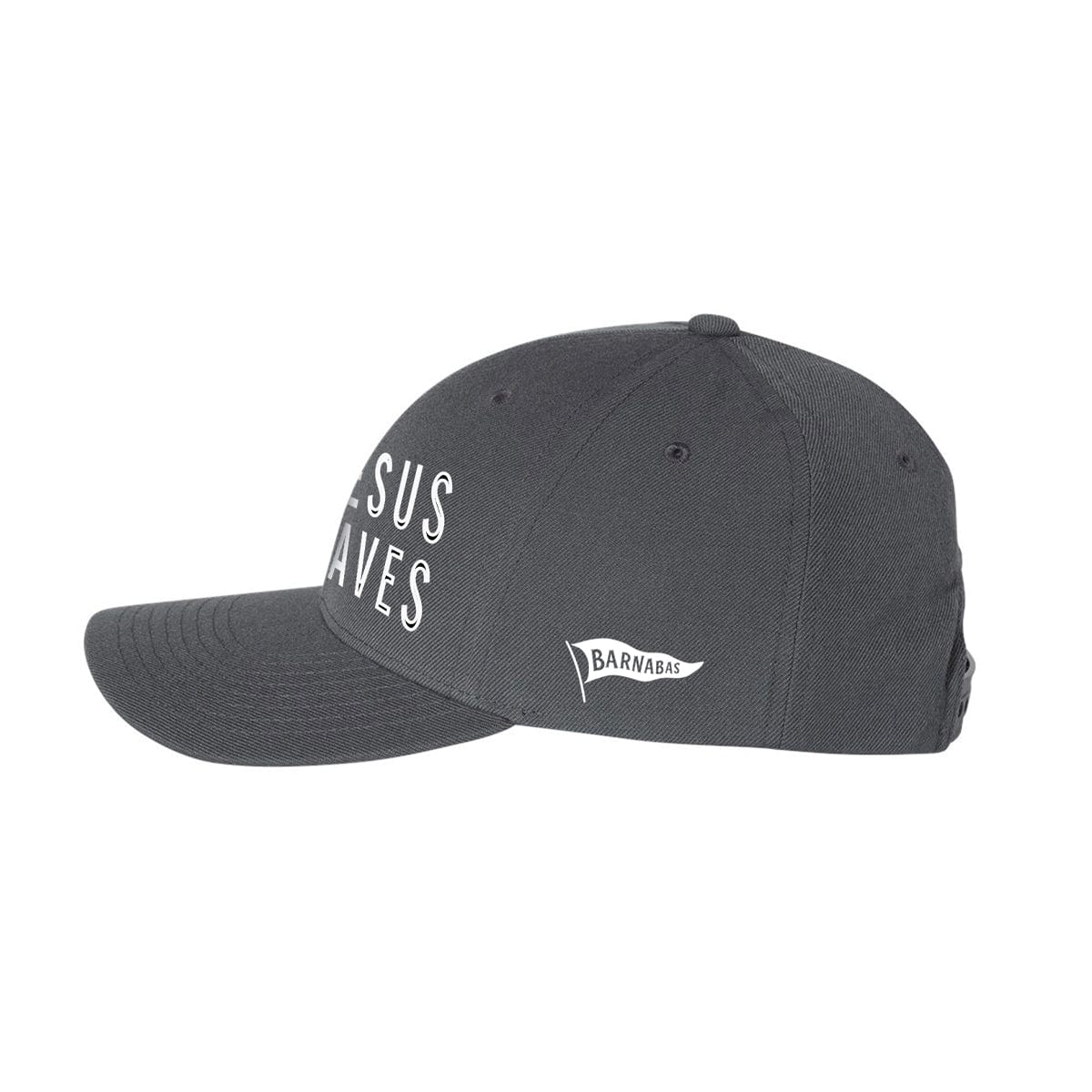 Jesus Saves 3D Embroidered Curvebill Hat