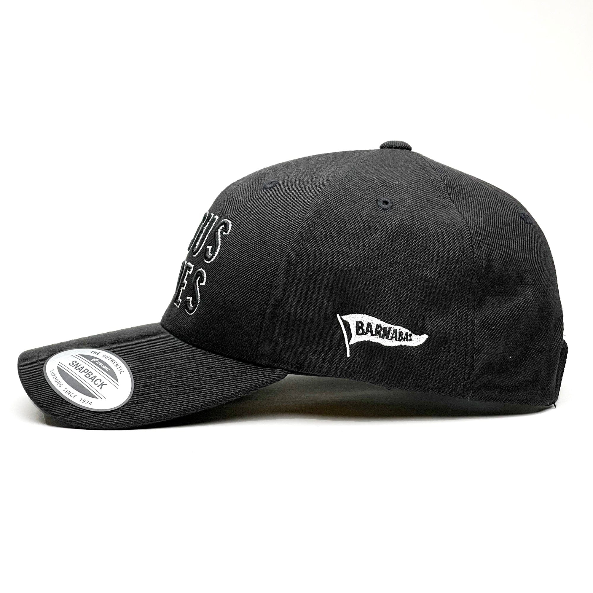 Jesus Saves 3D Embroidered<br>Curve Bill Hat