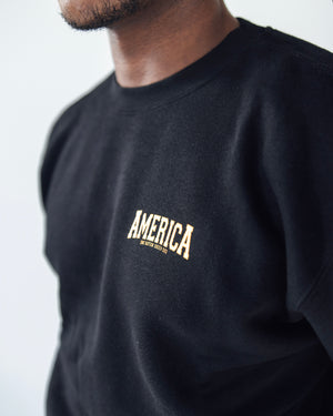 AMERICA Unisex Crew Sweatshirt [black]